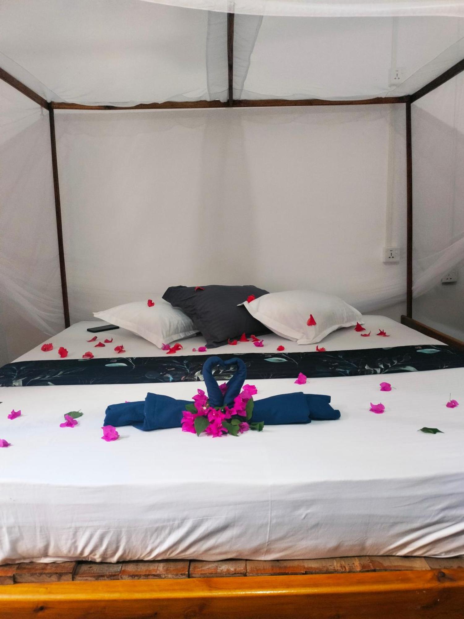 Costels Arugambay Hostel Arugam Bay Room photo