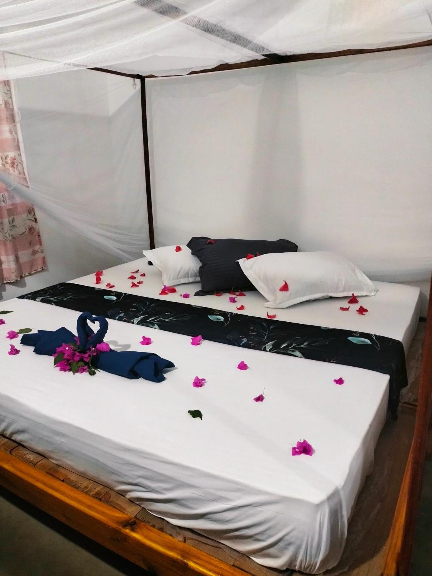 Costels Arugambay Hostel Arugam Bay Exterior photo